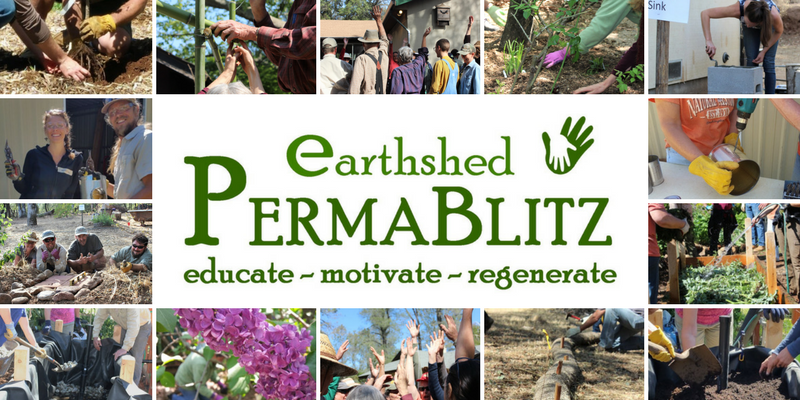 PermaBlitz cover collage